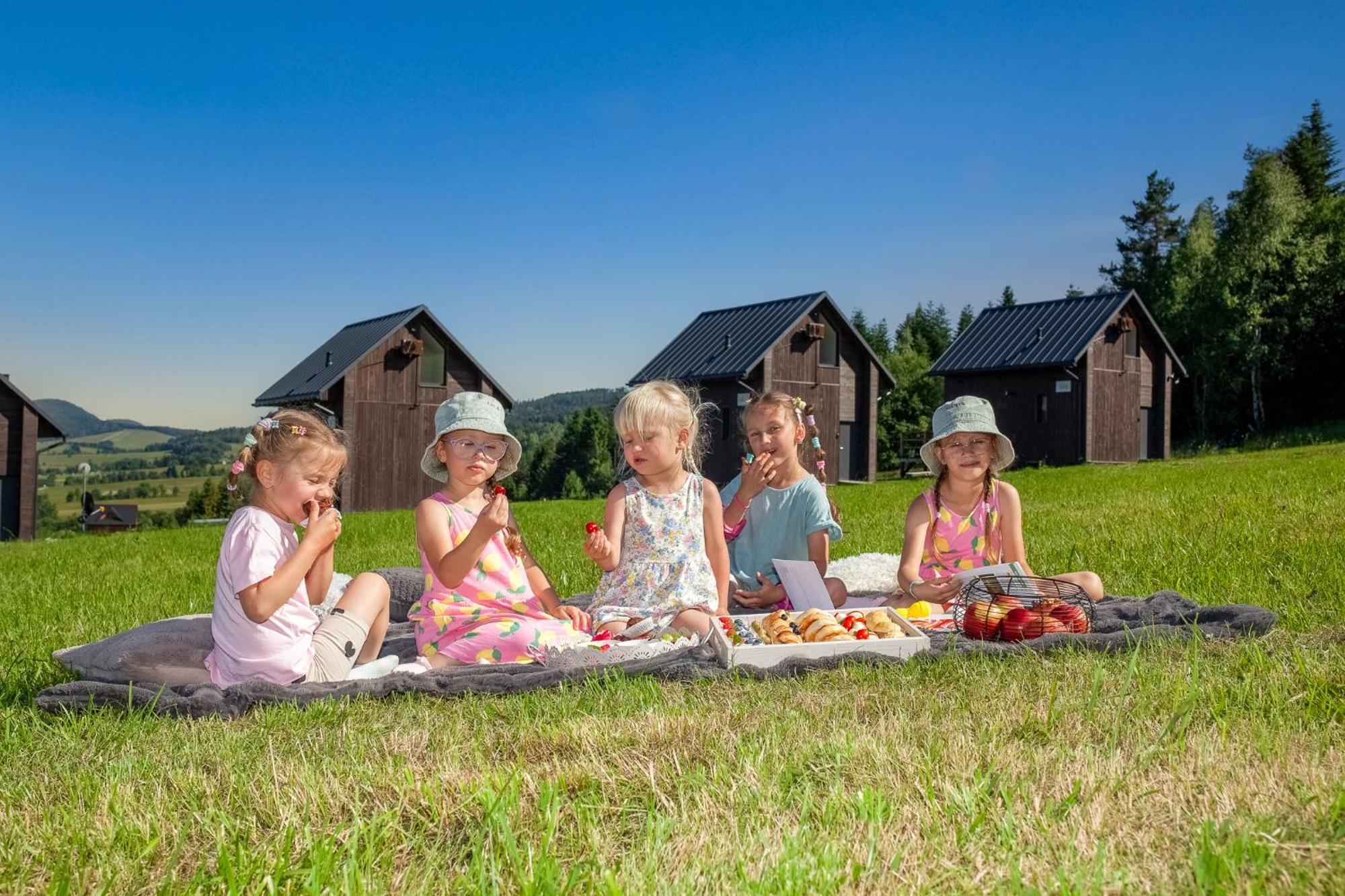Polana Piorun Domki Wakacyjne W Beskidach Krynica Zdroj Bagian luar foto